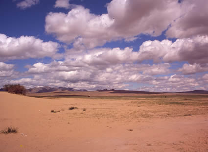 Deserto del Gobi - Mongolia